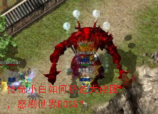 ����С����μ��������ţ�ŭˢ����BOSS��