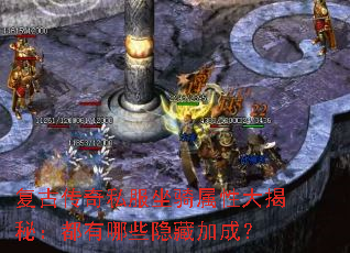 ���Ŵ���˽���������Դ���أ�������Щ���ؼӳɣ�