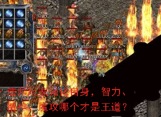 ��ʦ���ǿ������������������ħ���ĸ�����������