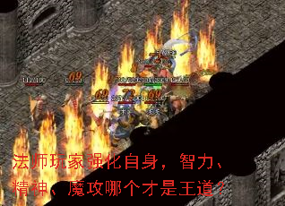 ��ʦ���ǿ������������������ħ���ĸ�����������