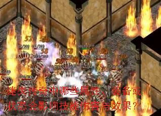 ��ʧ��������Щ���ԡ�װ����״̬��Ӱ�켼���˺���Ч����