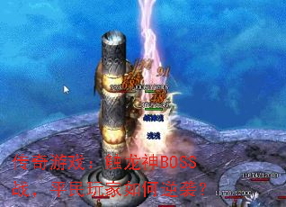 ������Ϸ��������BOSSս��ƽ����������Ϯ��