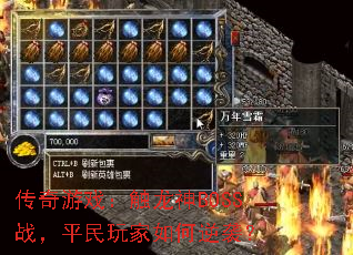 ������Ϸ��������BOSSս��ƽ����������Ϯ��