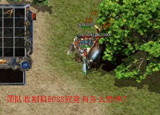 �Ŷ��ո��BOSS�����ж�ô�ֲ���