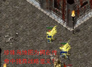 ���鵺��ͼΪ���ڴ����ж���ս�����壿