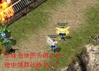 ���鵺��ͼΪ���ڴ����ж���ս�����壿