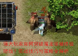 ǿ��������ͻ��ħ�������ռ����ߣ�ʵս���������ȫ����