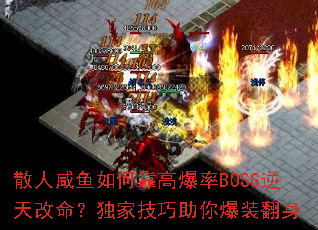 ɢ��������ο��߱���BOSS������������Ҽ������㱬װ����