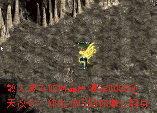 ɢ��������ο��߱���BOSS������������Ҽ������㱬װ����