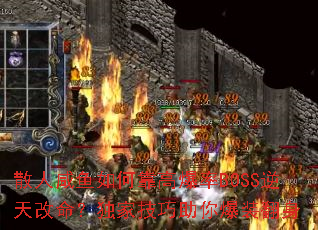 ɢ��������ο��߱���BOSS������������Ҽ������㱬װ����