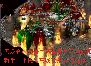 �������ڴ������ʺ���Щ���ʹ�ã����֡�ƽ�����ս������ѡ��