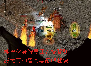 ���޻��������ţ�����ѱ�����������ʶ��۷��ؾ�