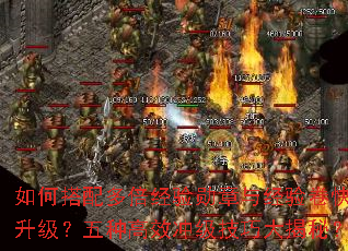 ��δ���౶����ѫ���뾭����������������ָ�Ч�弶���ɴ���أ�