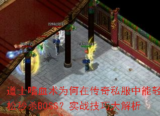 ��ʿ��Ѫ��Ϊ���ڴ���˽������������ɱBOSS��ʵս���ɴ����