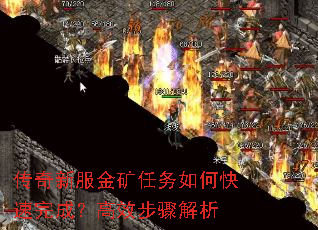 �����·����������ο�����ɣ���Ч�������