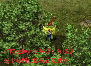 �������ٳ�̵ȼ���������ЩС��������Ӯ��������