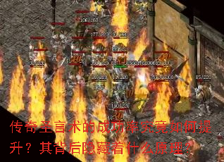 ����ʥ�����ĳɹ��ʾ�������������䱳��������ʲôԭ����