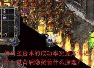 ����ʥ�����ĳɹ��ʾ�������������䱳��������ʲôԭ����