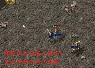 ����ˢ����è����죿���Ŵ�������Ź���