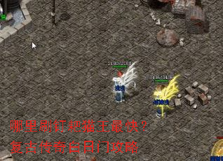 ����ˢ����è����죿���Ŵ�������Ź���