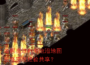 ��θ�Ч���ó��ӵ�ͼˢ��ʵ�־��鹲����