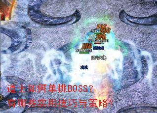 ��ʿ��ε���BOSS������Щʵ�ü�������ԣ�