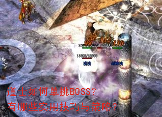 ��ʿ��ε���BOSS������Щʵ�ü�������ԣ�