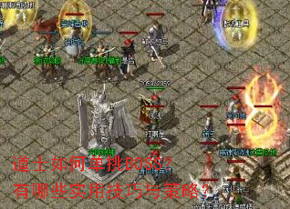 ��ʿ��ε���BOSS������Щʵ�ü�������ԣ�