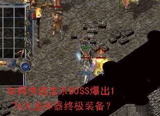��ο��ٻ�ɱBOSS����1.76���������ռ�װ����