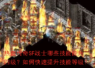 ��Ѫ����SFսʿ��Щ���������ļ�����ο����������ܵȼ���