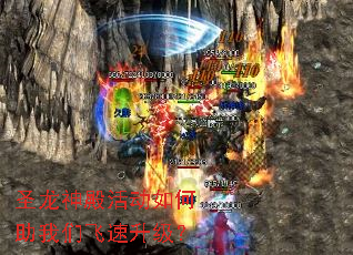 ʥ�������������Ƿ���������