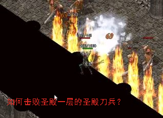 ��λ���ʥ��һ���ʥ�����
