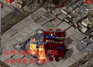 ��β����ڴ�����Ϸ�л�ø�����Ȥ��