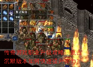 ������Ϸְҵ�������ԣ����ų�Ĭ�汾��ο�������ʵ����
