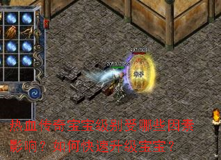 ��Ѫ���汦����������Щ����Ӱ�죿��ο�������������