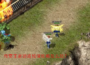����������ϷͶ��������ô�棿