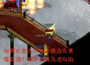����ڸ��Ŵ�������ѡ�������Ѿƣ����ֱؿ�ѡ��ָ��