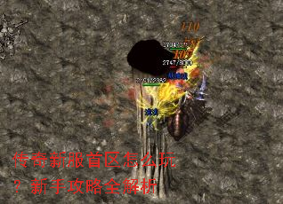�����·�������ô�棿���ֹ���ȫ����