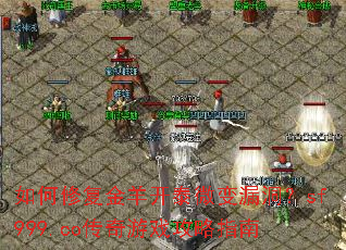 ����޸�����̩΢��©����sf999.co������Ϸ����ָ��