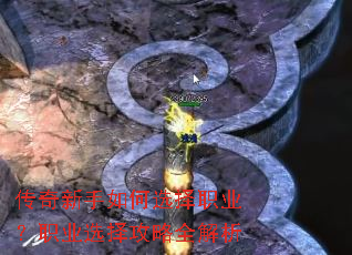 �����������ѡ��ְҵ��ְҵѡ����ȫ����