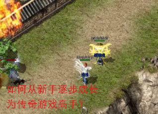 ��δ������𲽳ɳ�Ϊ������Ϸ���֣�