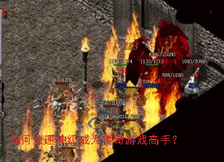 ��ο��ٳ弶��Ϊ������Ϸ���֣�