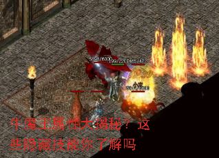 ţħ�����Դ���أ���Щ���ؼ������˽���