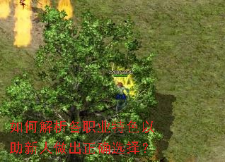 ��ν�����ְҵ��ɫ��������������ȷѡ��