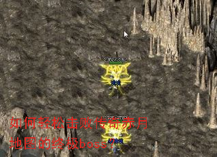 ������ɻ��ܴ�����µ�ͼ���ռ�boss��