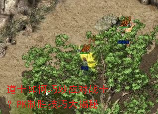 ��ʿ�������Ӧ��սʿ��PK��ʤ���ɴ����