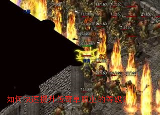 ��ο����������浥ְҵ�ĵȼ���