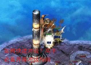 ��ο��ٳ弶�����ֱر������弶ָ��