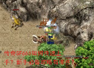 ����SF666��ο������֣����ֱر���������Щ��