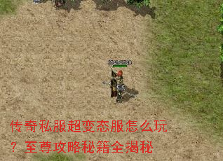 ����˽������̬����ô�棿�������ؼ�ȫ����